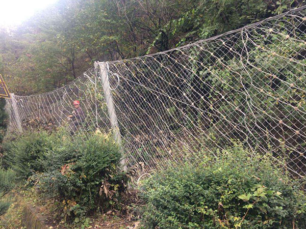 邊坡綠化勾花網圖片3